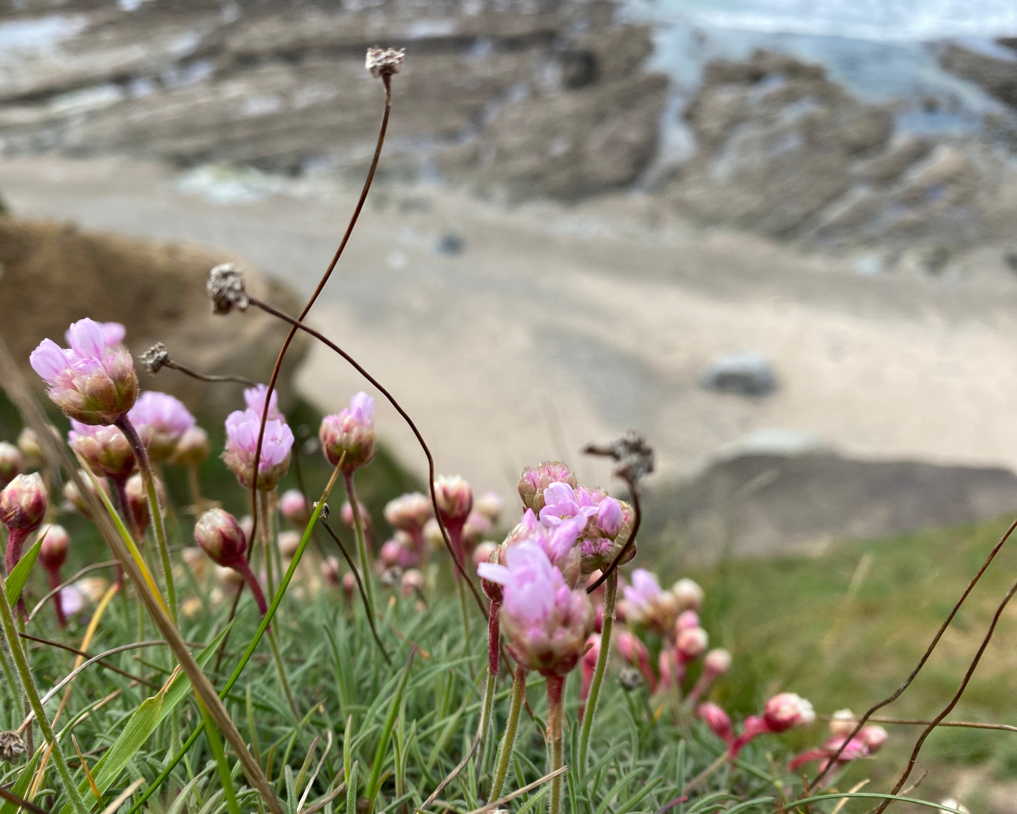 Featured image for “Near Newgale: Making The Most Out of The Coastal Path”