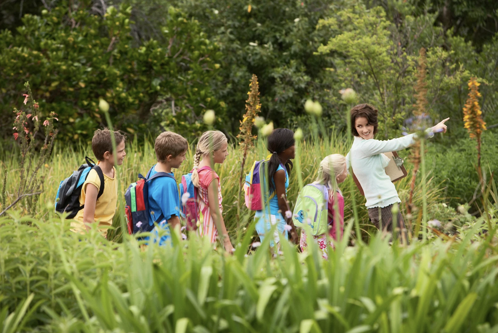 Featured image for “How Outdoor Adventures Spark Growth in Children”