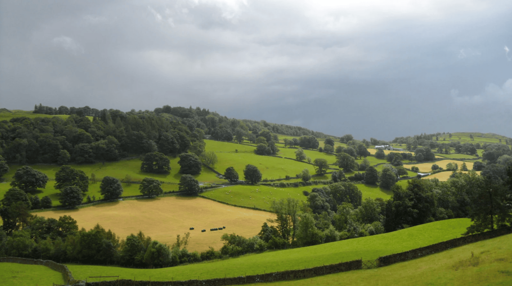 Featured image for “Walk the Pilgrim Way: Reconnect in North Pembrokeshire”